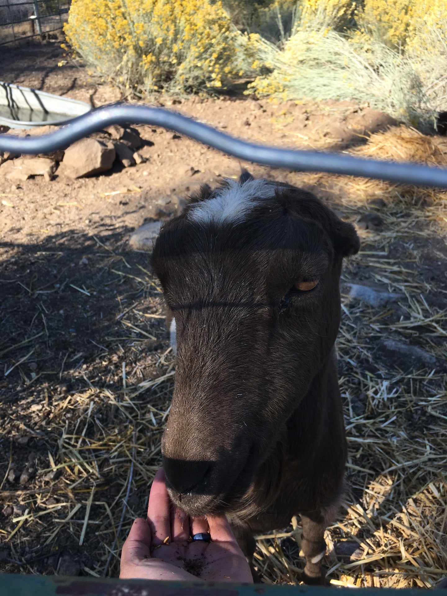 Frazier Park, CA Map & Directions MapQuest