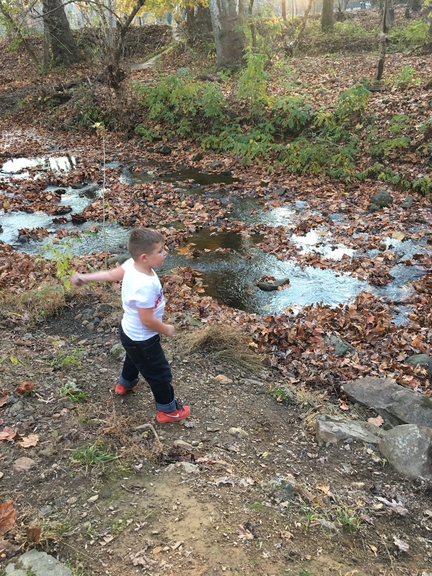 Brandywine Springs Park, 3250 Faulkland Rd, Wilmington, DE, Parks