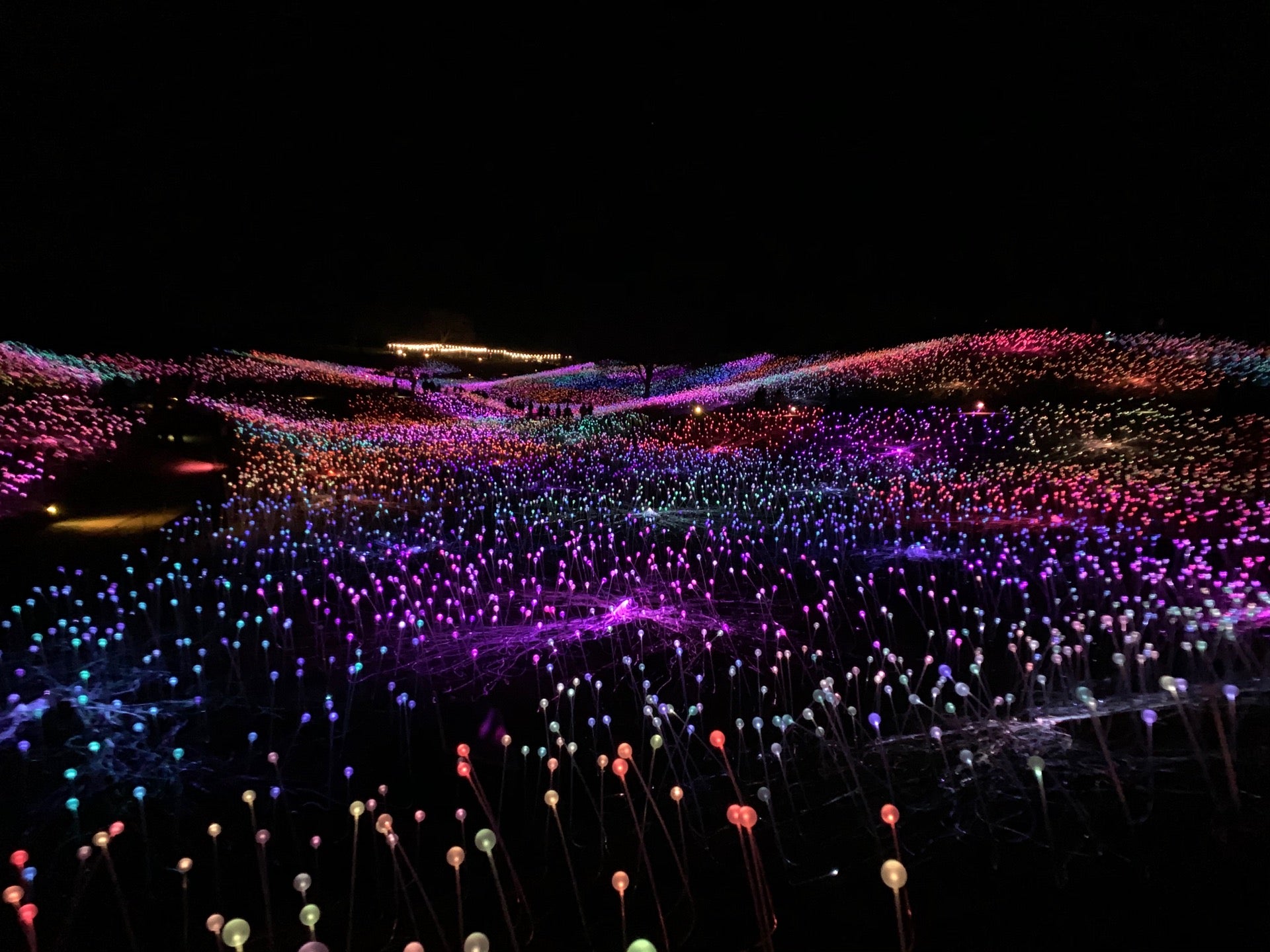 Bruce Munro Light at Sensorio, 4380 E Highway 46, Paso Robles, CA