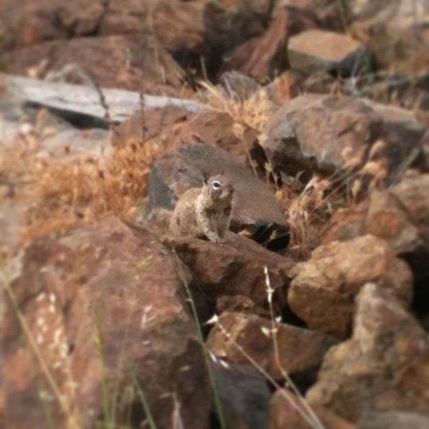 Ocean Beach Bike Path, Pacific Hwy, San Diego, CA, Rental Agencies