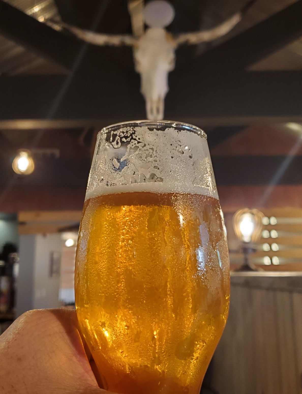 Raging Bull Steakhouse, 433 E Russell Ave, Warrensburg, MO, Steak