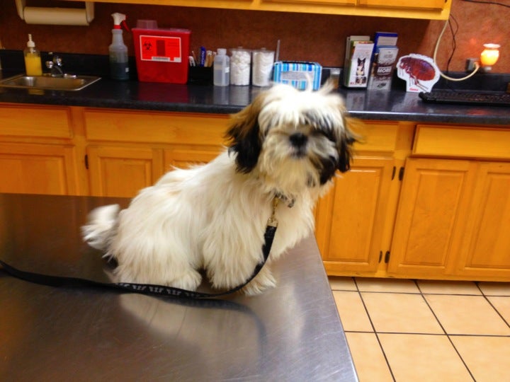 Pet Haven, 2524 W 13th St N, Wichita, KS, Pet Grooming MapQuest