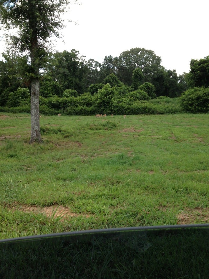 Berry Cage Center, Mount Berry, GA, Gymnasiums MapQuest