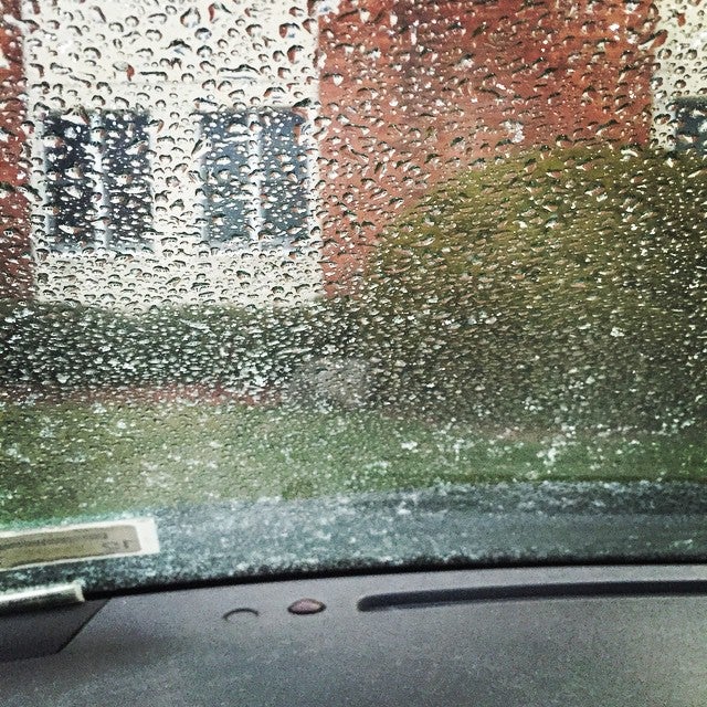 New York Commercial Bank, 3807 Junction Blvd, New York, NY, Banks