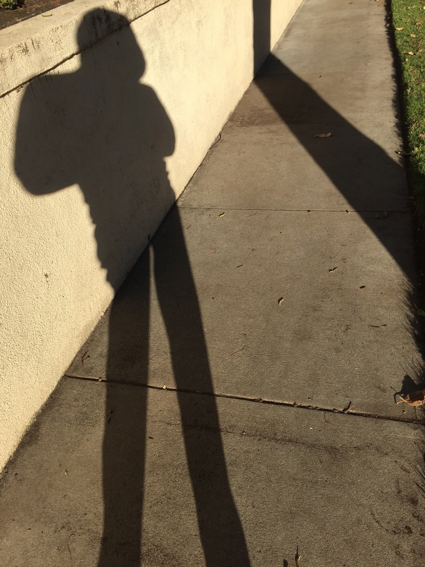 Wilson Park Swing and Slide Area, Windemere on the Green Condos