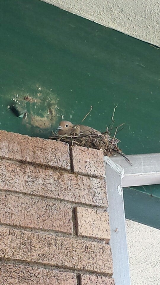 Woodside, CA Map & Directions MapQuest