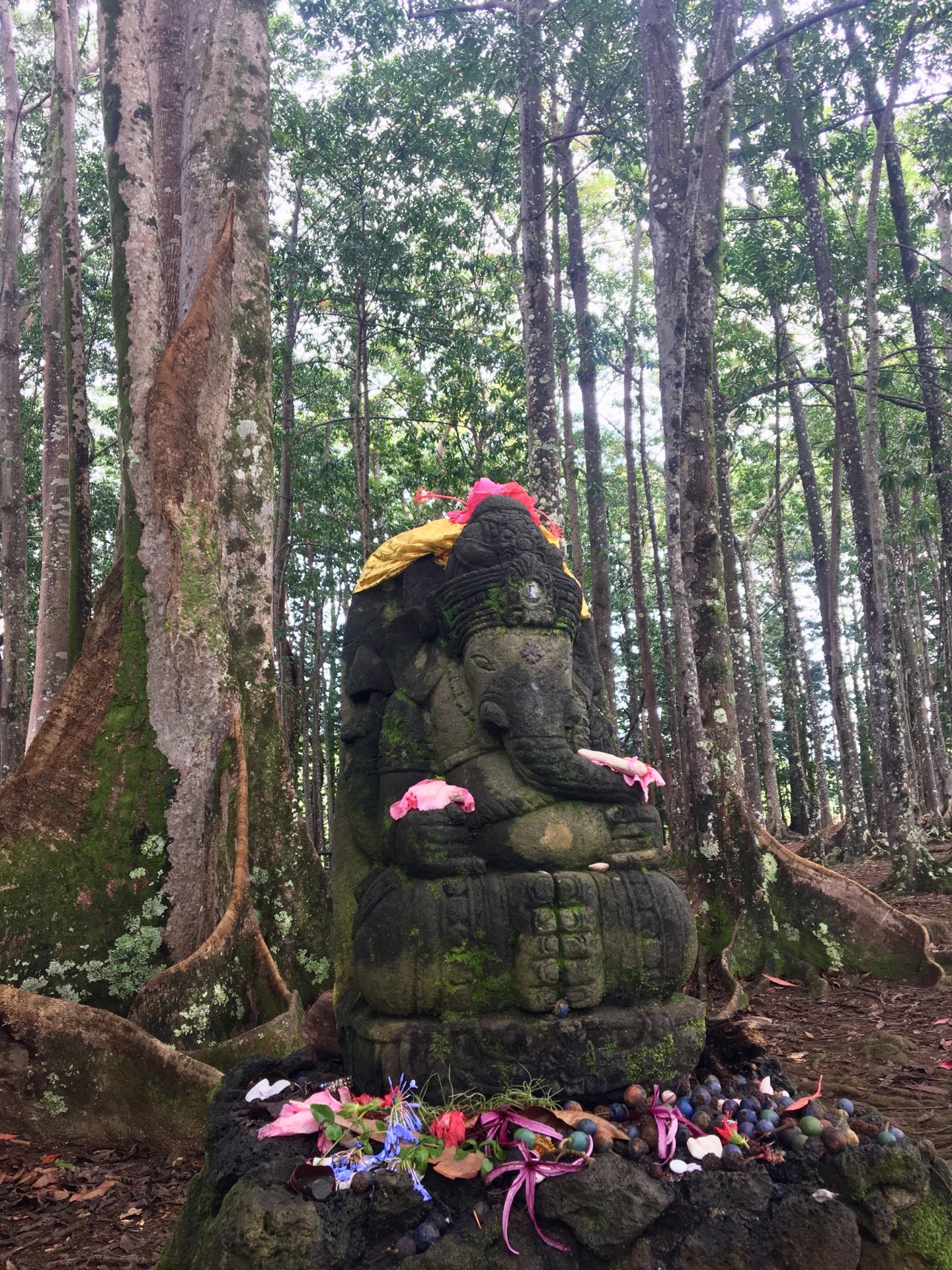 Sacred Rudraksha Forest, 7345 Kuamoo Rd, Kapaa, HI, Landmark MapQuest