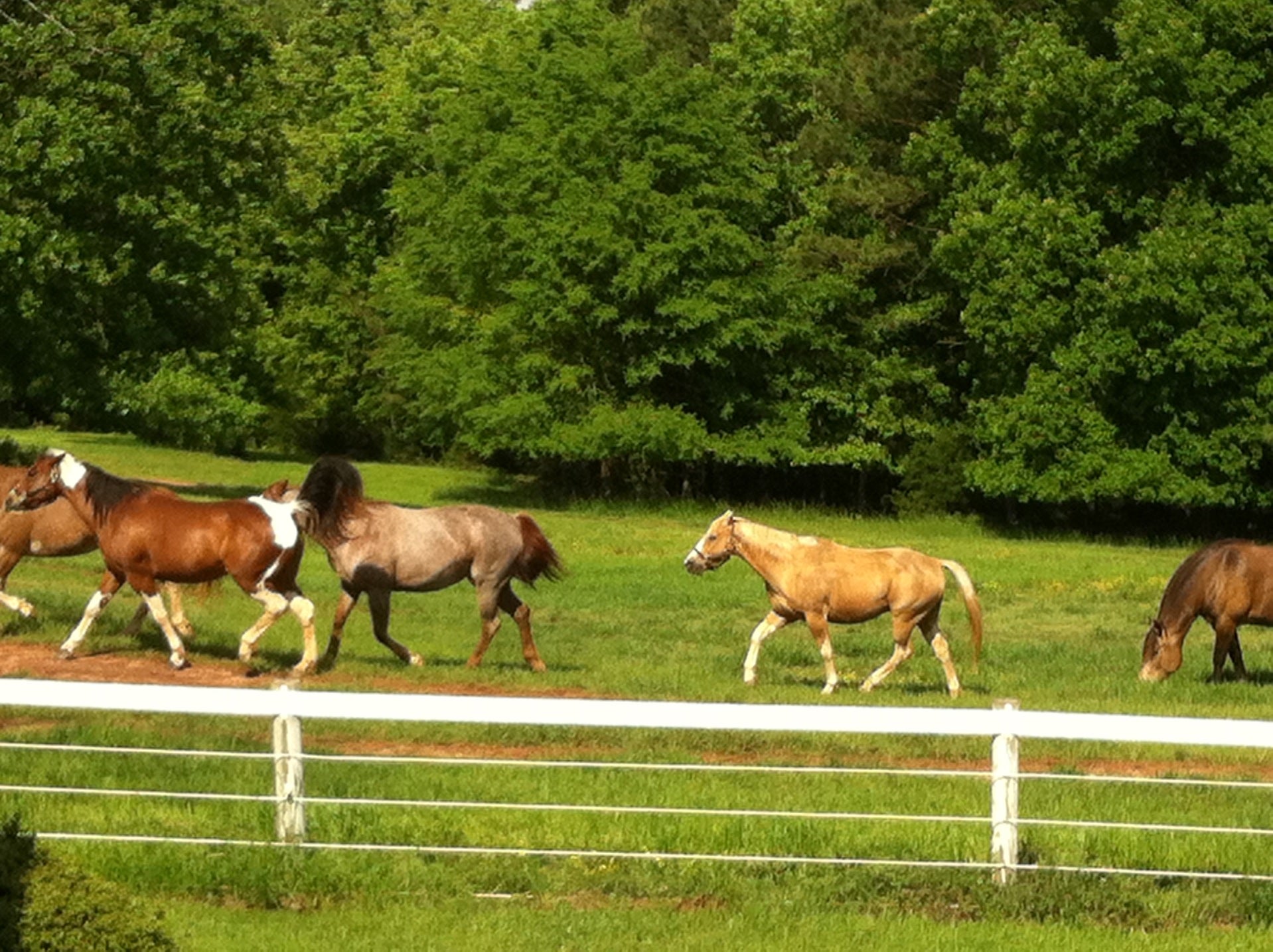 Eatonton, GA Map & Directions MapQuest