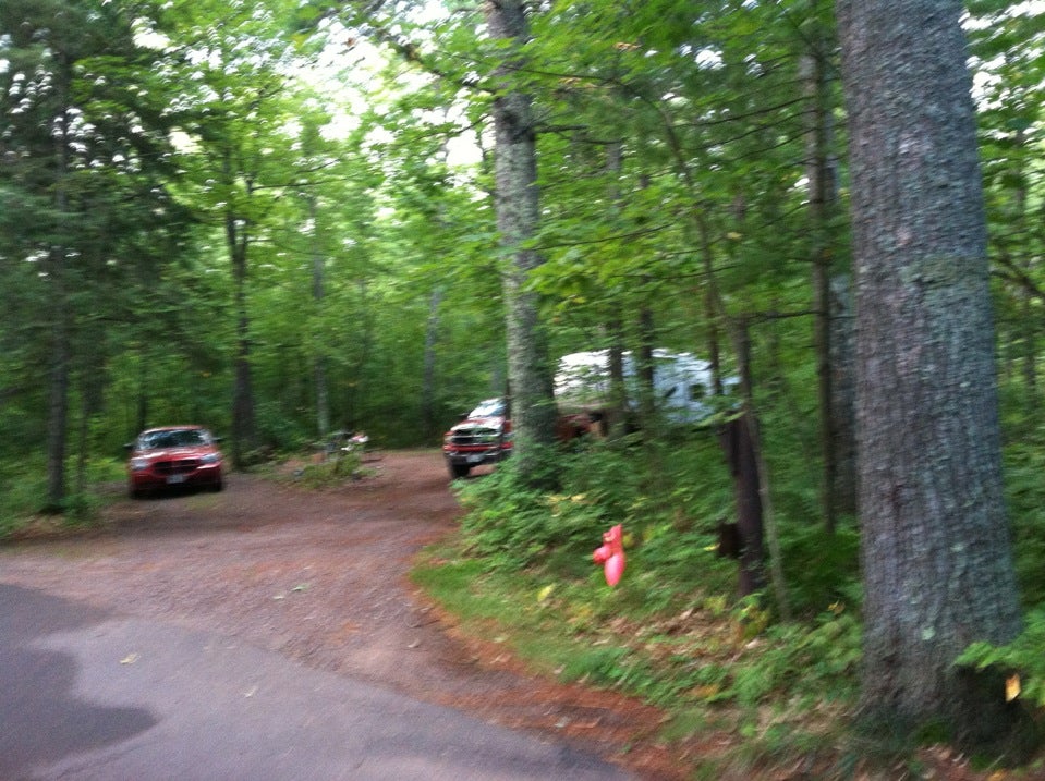 Northern Highland American Legion State Forest North Trout Lake
