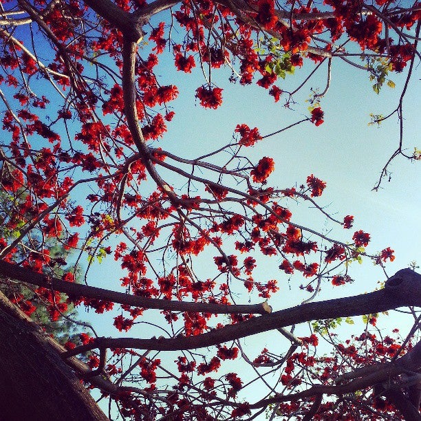 La Mirada, CA Map & Directions MapQuest