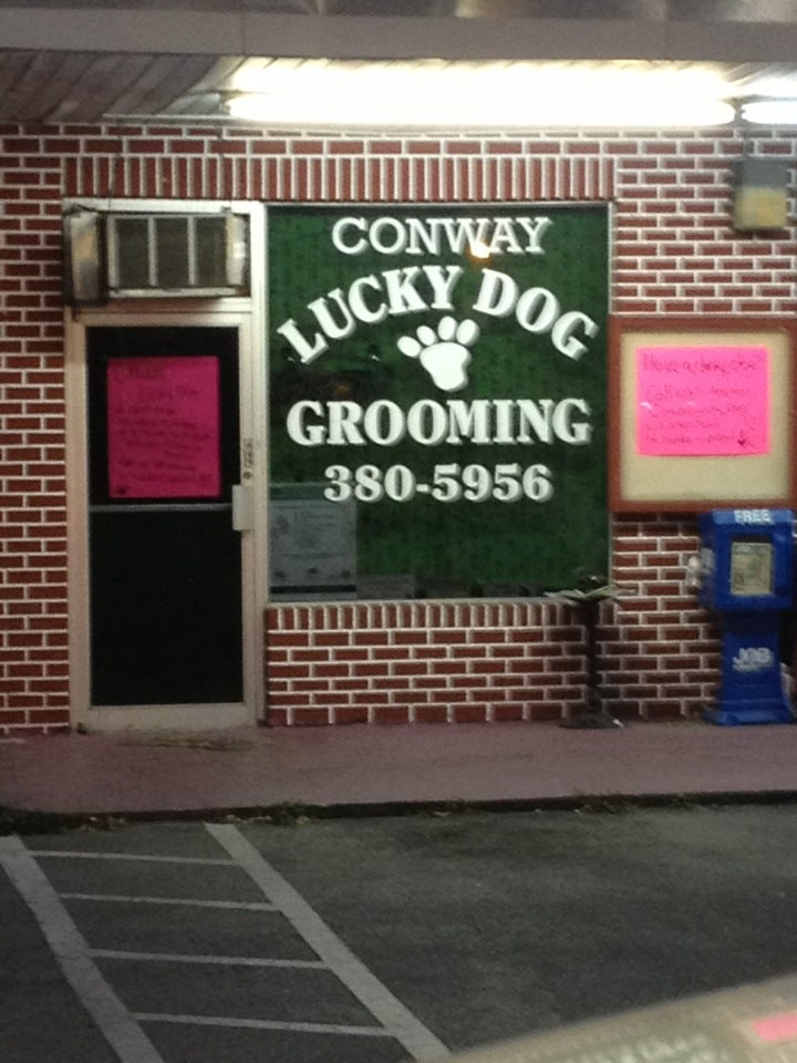 Lucky dog grooming near sales me