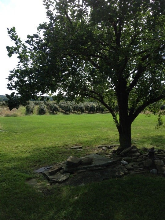 Brocton, NY Map & Directions MapQuest