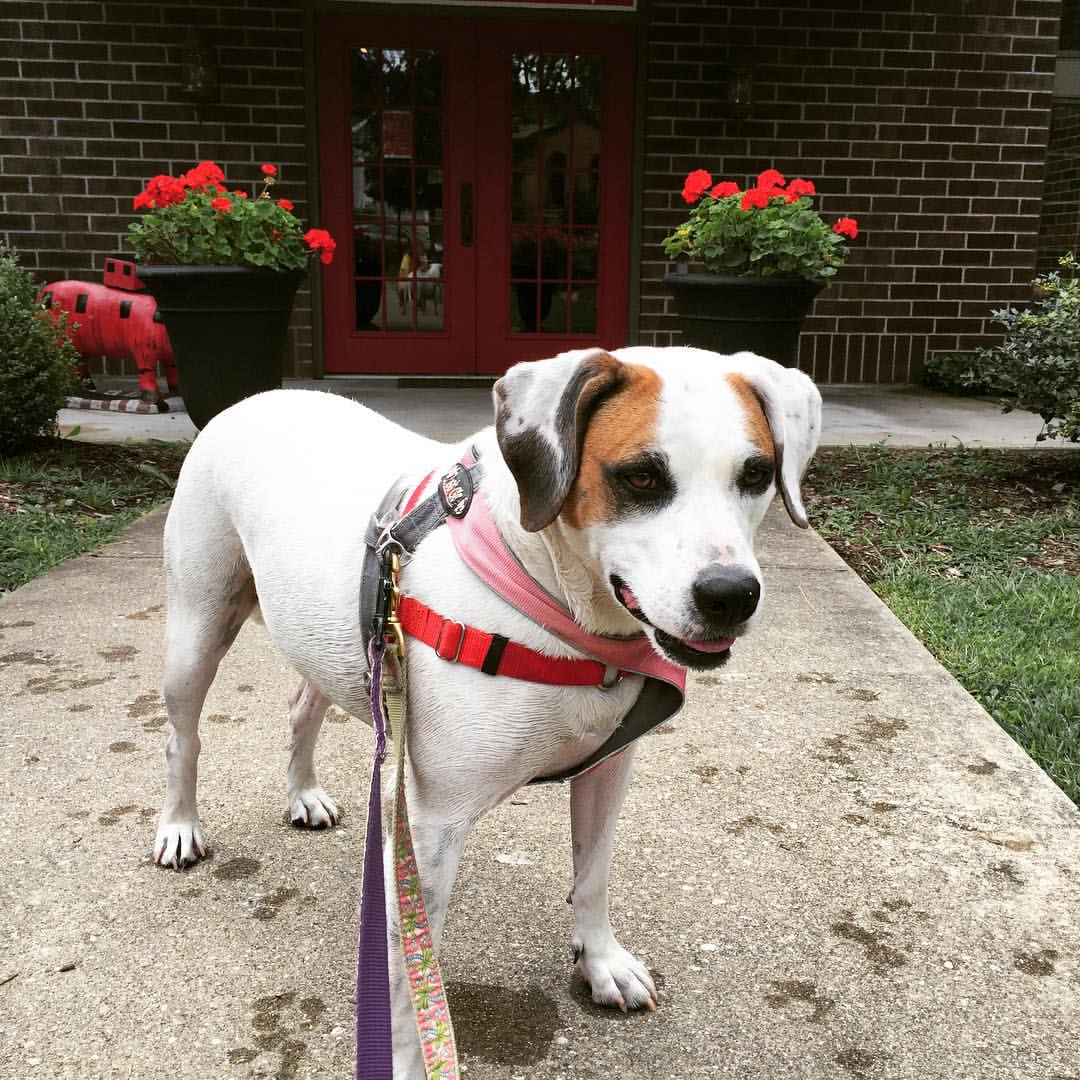 Hanover, IN Map & Directions MapQuest