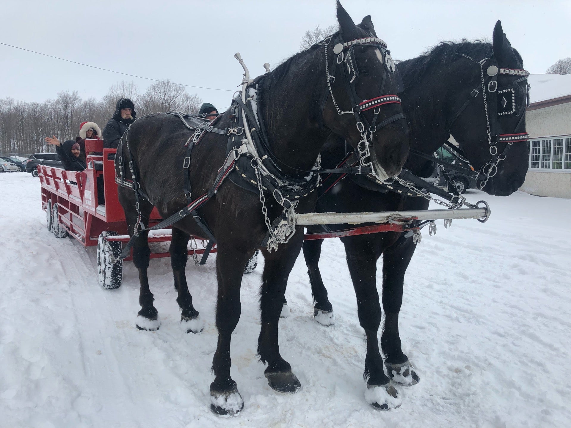 150 Chemin Du Sous-bois Mont-saint-grégoire Qc J0j 1k0