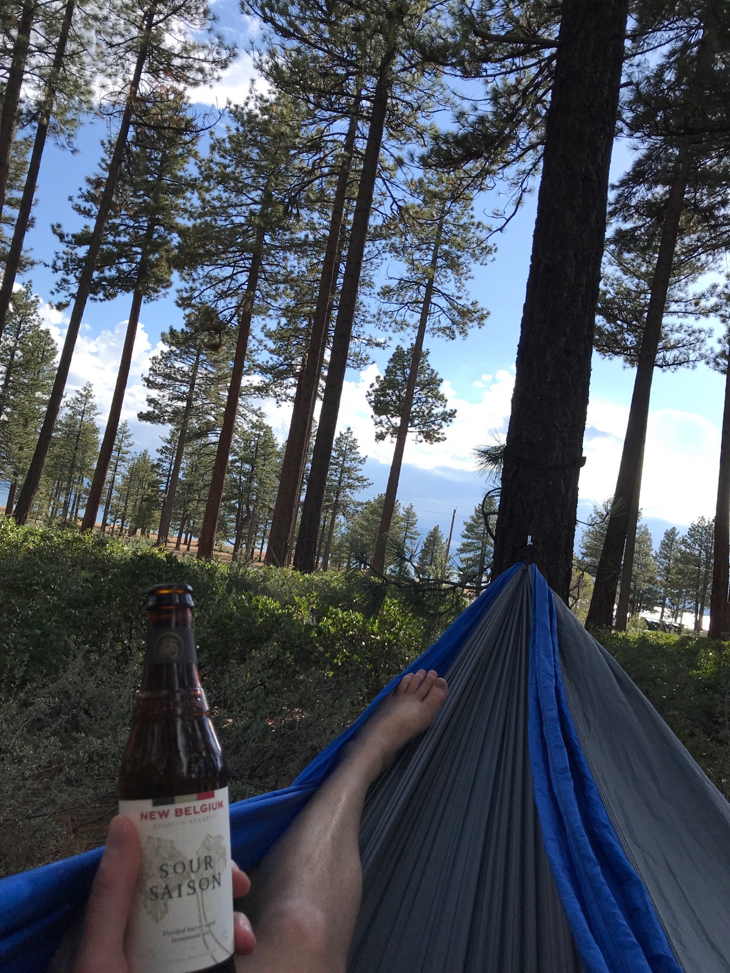 Nevada Beach Campground, Zephyr Cove, NV, Campgrounds MapQuest