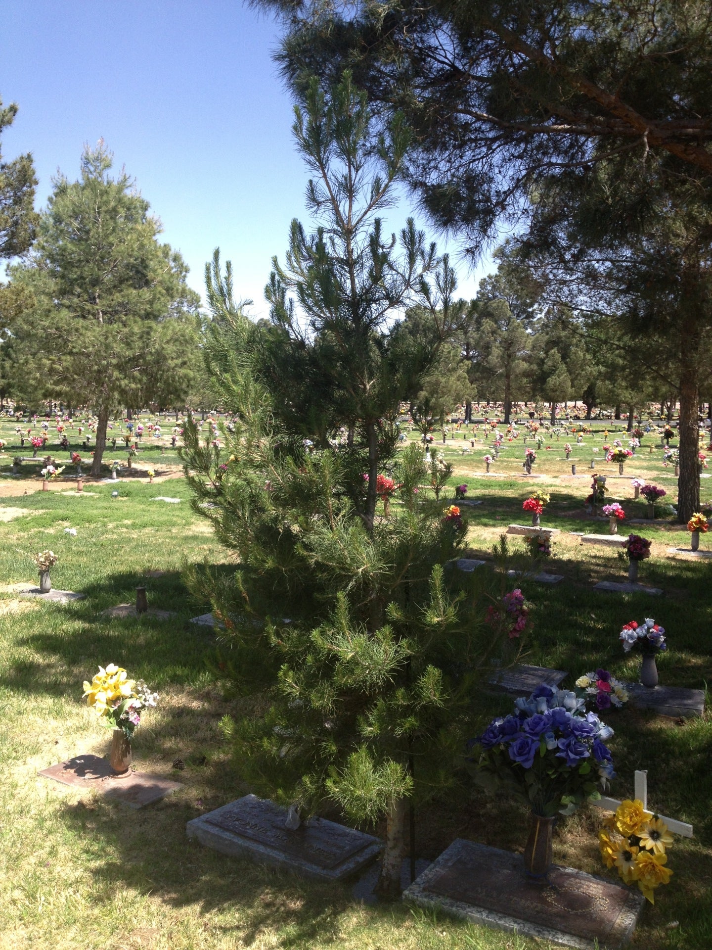 Mount Carmel Cemetery, 401 S Zaragoza Rd, El Paso, TX, Cemeteries