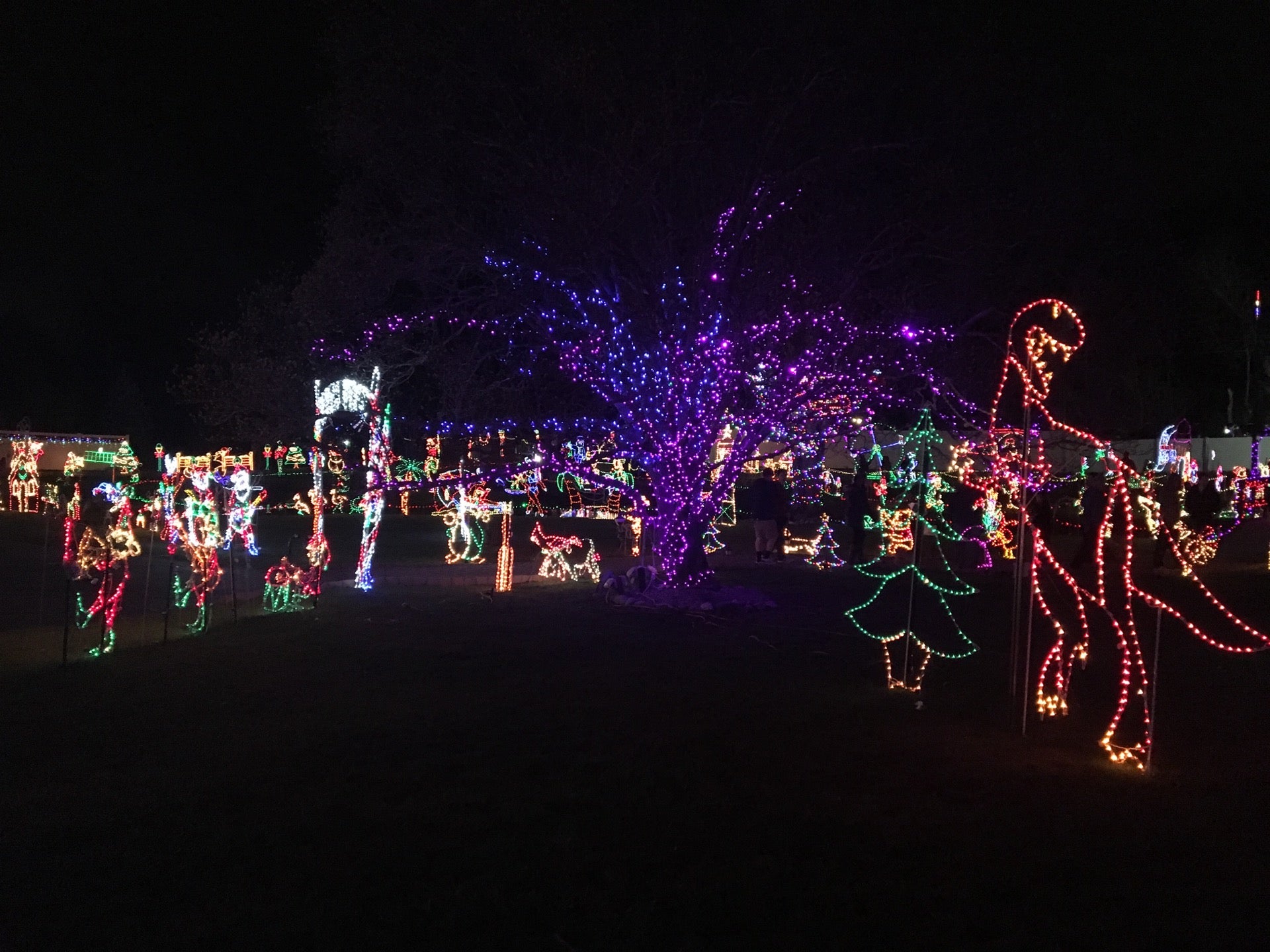 The Christmas Light Display, 1320 E Butler Pike, Ambler, PA MapQuest