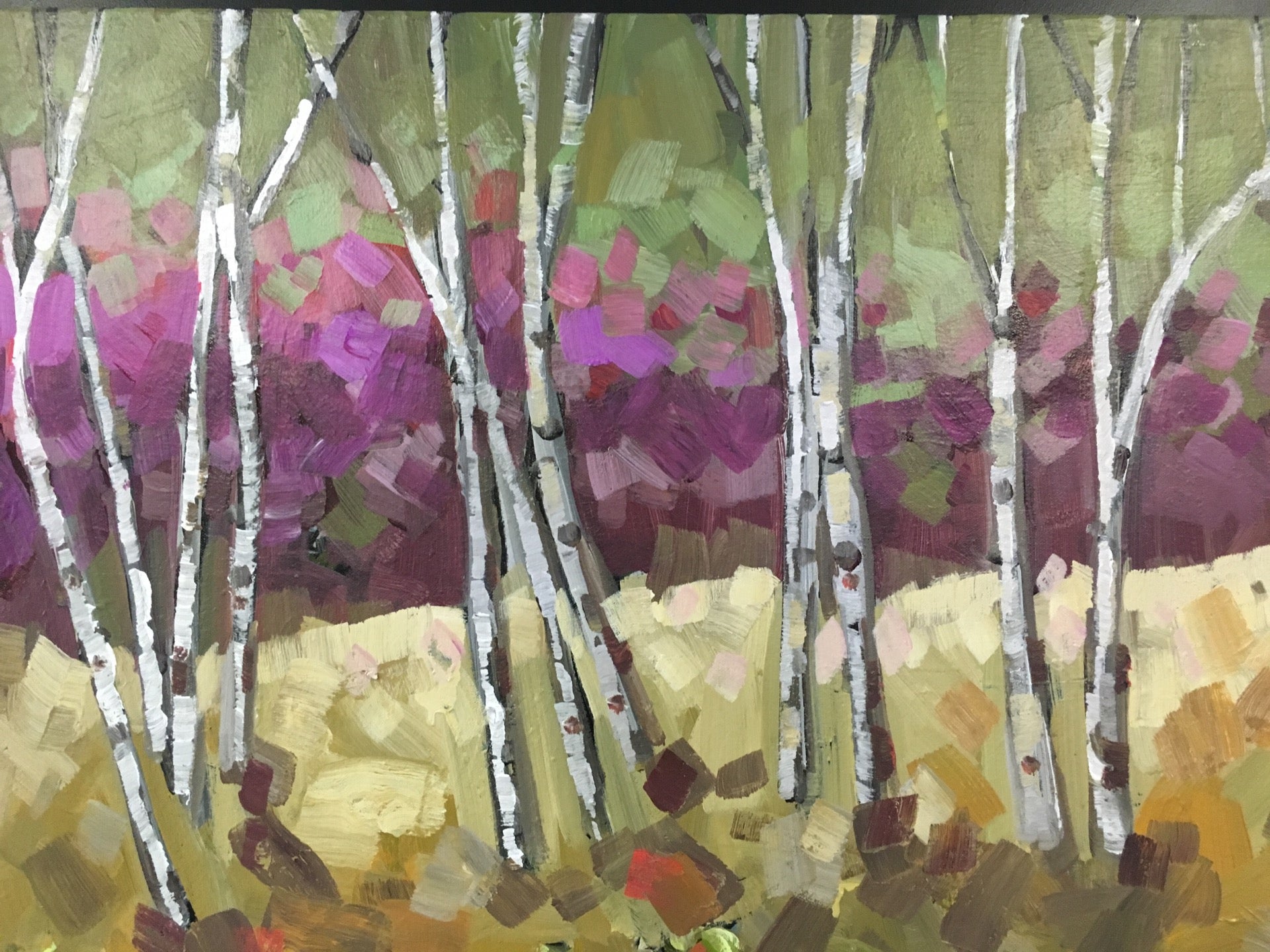 M Health Clinics and Surgery Center, 909 Fulton St SE, Minneapolis, MN