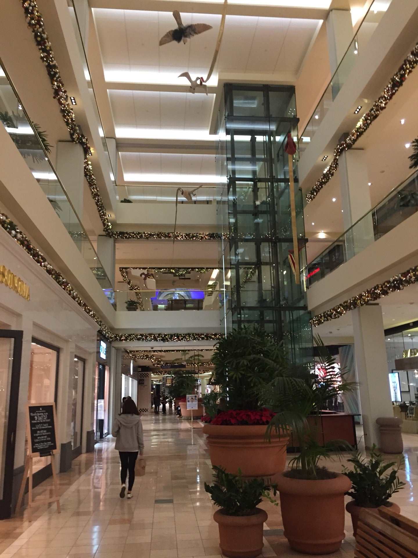 South Coast Plaza - Crystal Court 3rd Floor, The 3rd floor …