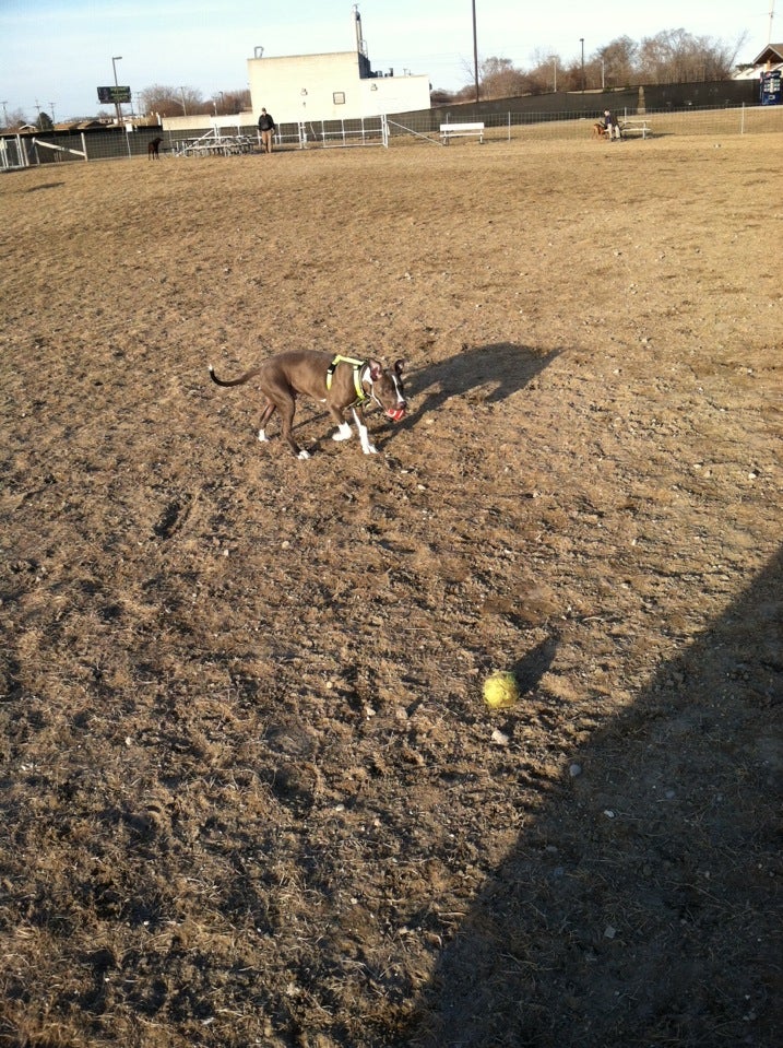 Madison Heights, MI Map & Directions MapQuest