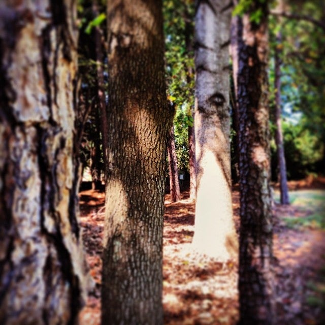 Compass Group USA Division, 2400 Yorkmont Rd, Charlotte, NC, Retail