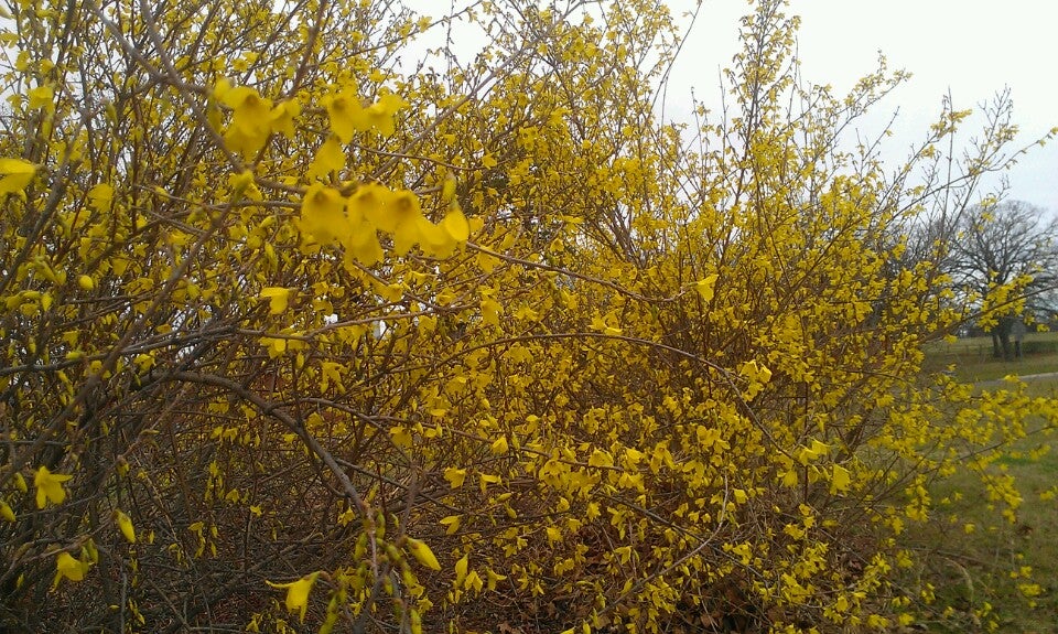 McLoud, OK Map & Directions MapQuest