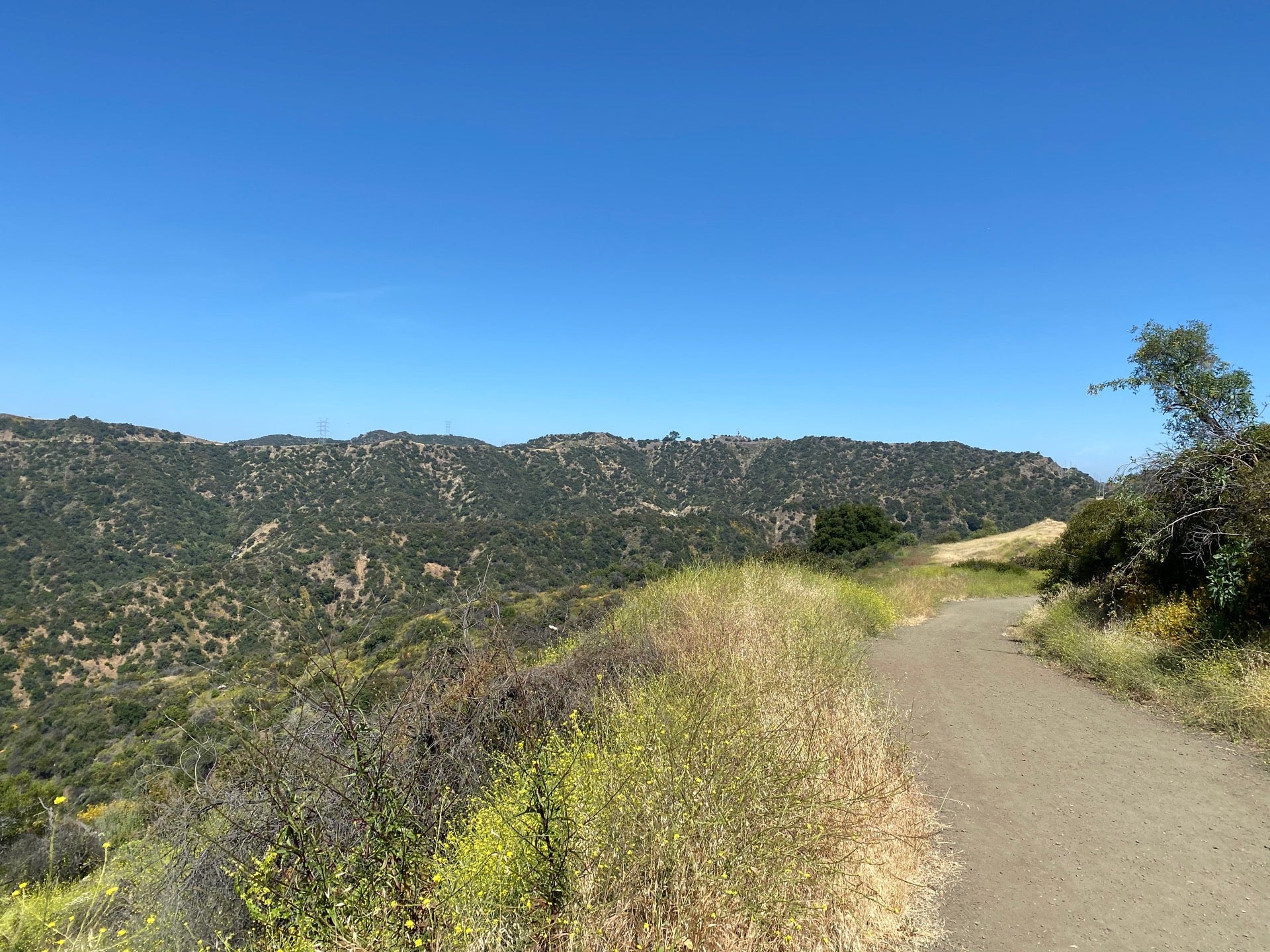 Westridge-Canyonback Wilderness Park, Elvido Dr, Los Angeles, CA ...