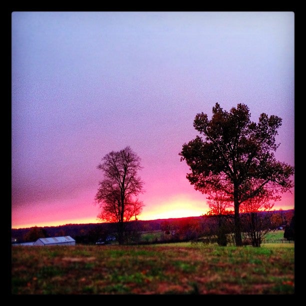 The Farm, 192 Fox Run Ln, Elizabethtown, KY, Farms MapQuest