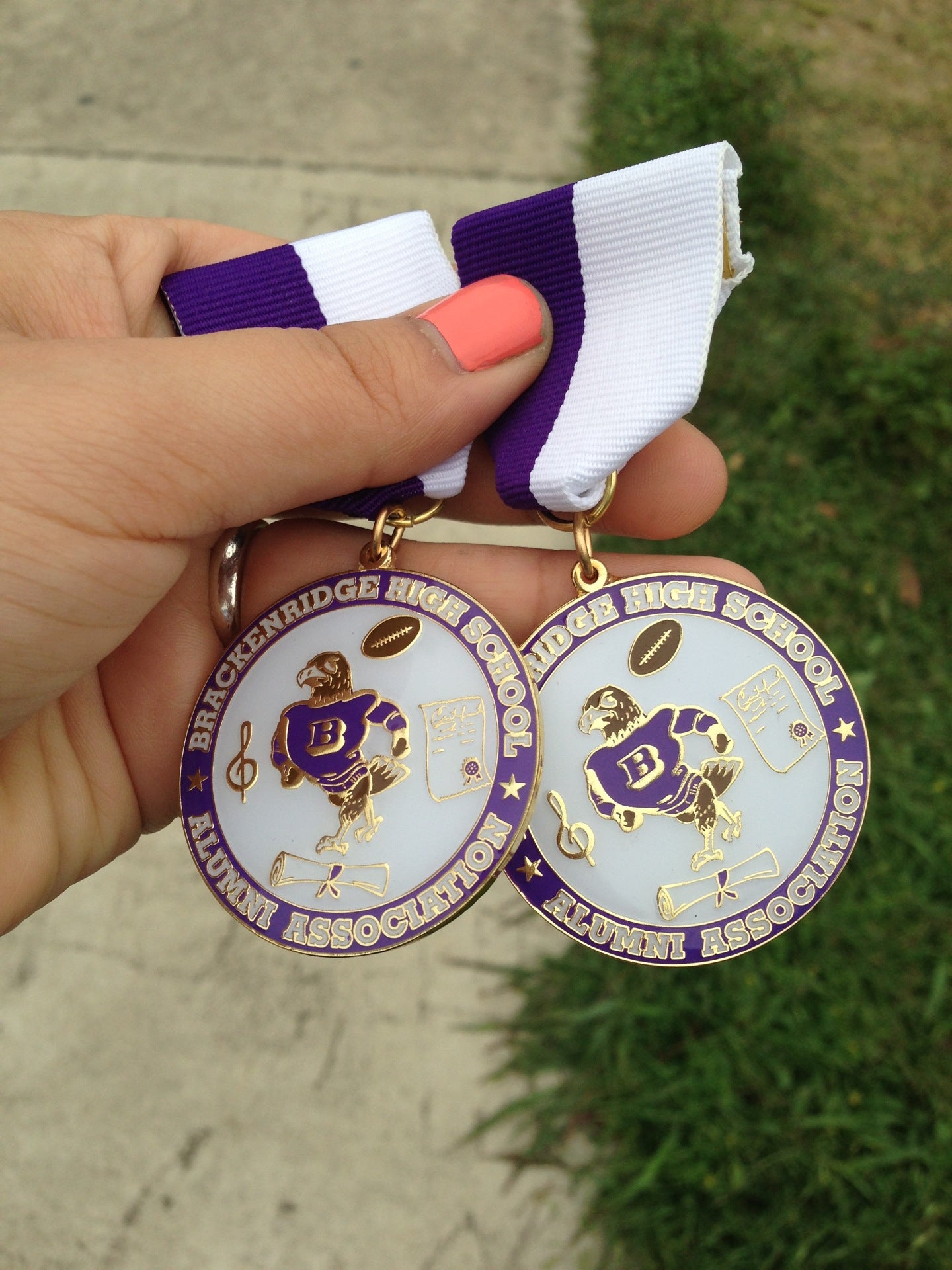 Brackenridge High School, 400 Eagleland Dr, San Antonio, TX, Schools