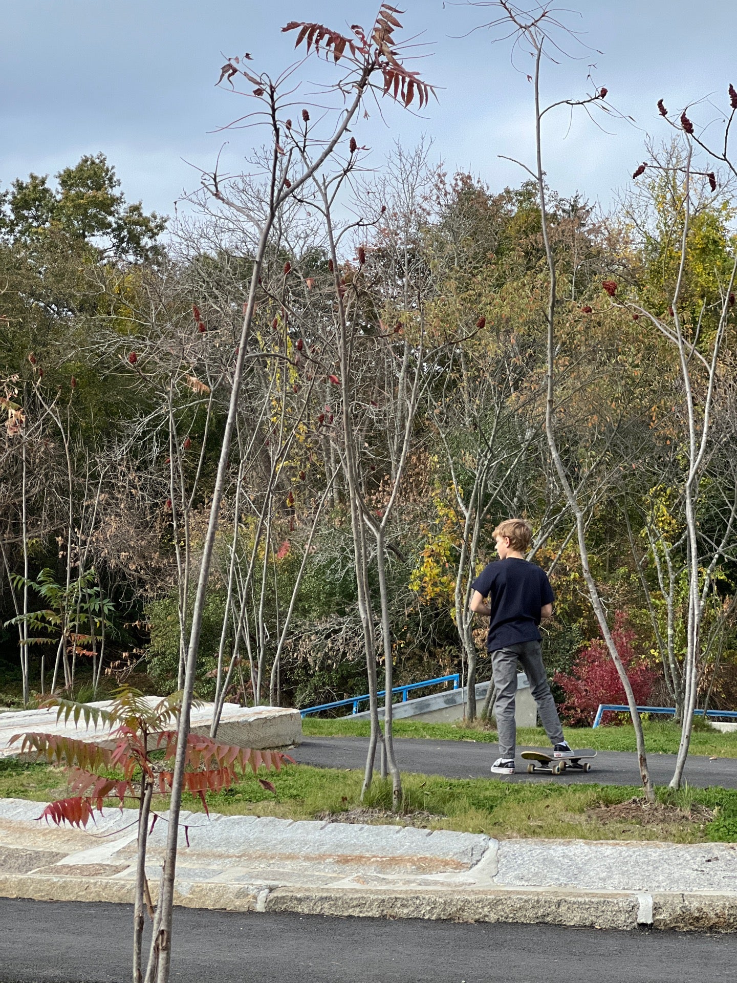 Gallows Hill Park, Witch Hill Rd, Salem, MA, Parks MapQuest
