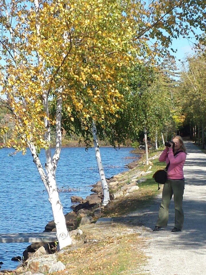 Back Bay Rehabilitation, 90 Mill St, Wolfeboro, NH MapQuest