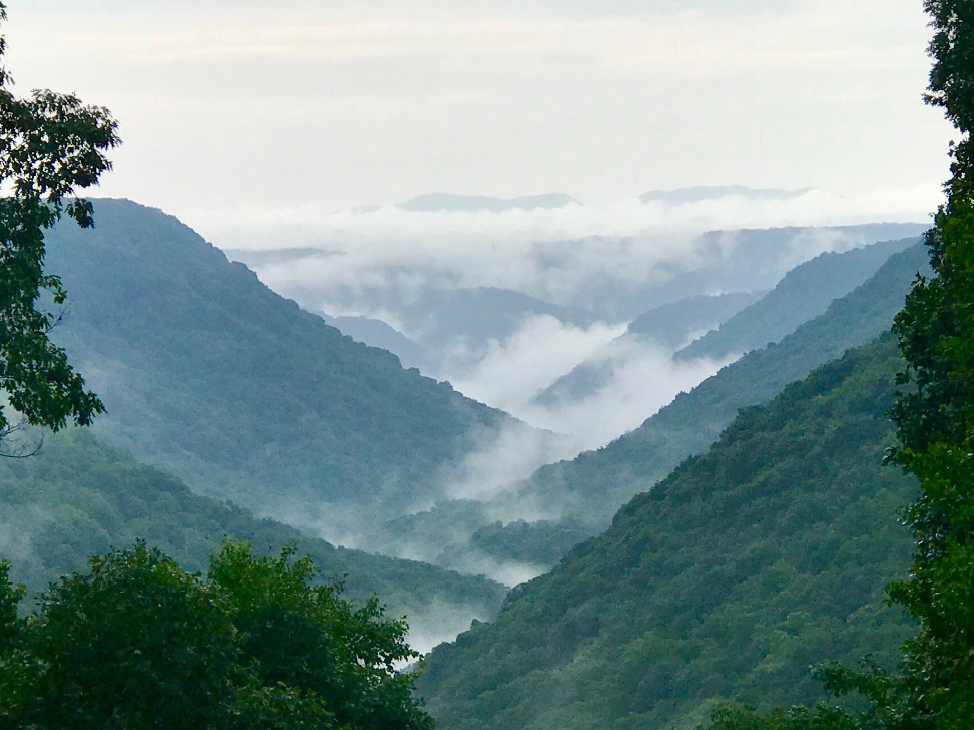 Babcock State Park, 486 Babcock Rd, Danese, WV, Parks MapQuest