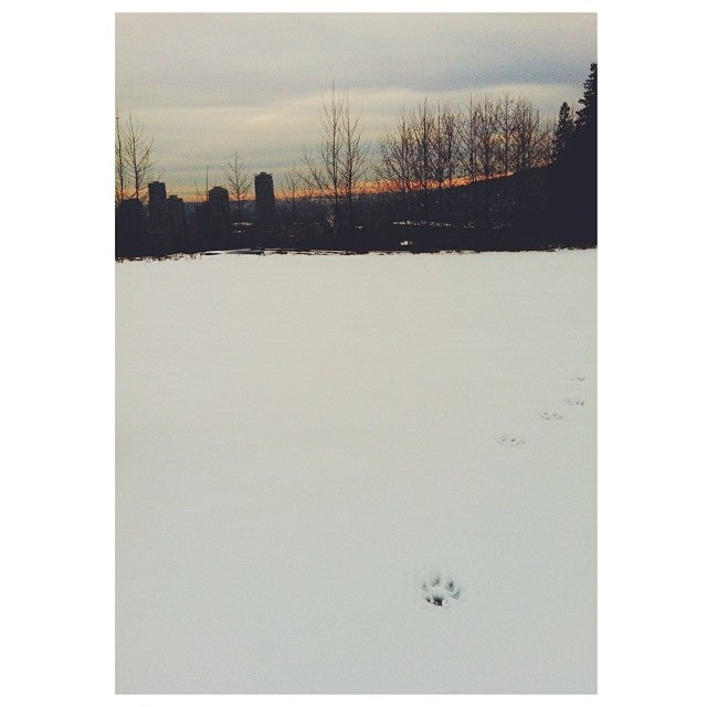 Good Shepherd Daycare