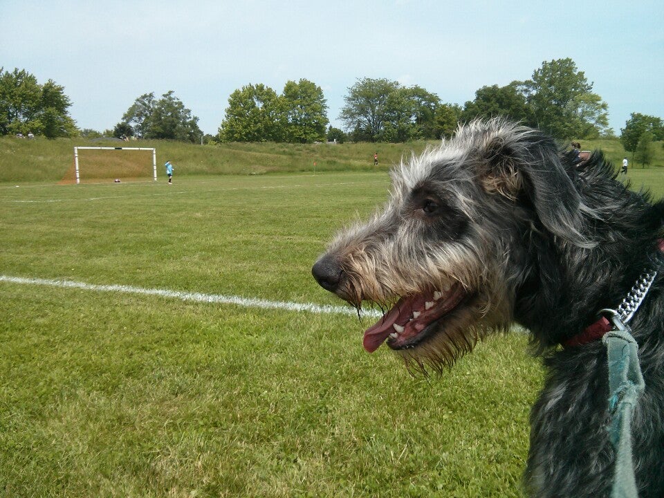 John Wright Soccer Fields, 123 Soccer Pl, Brantford, ON MapQuest