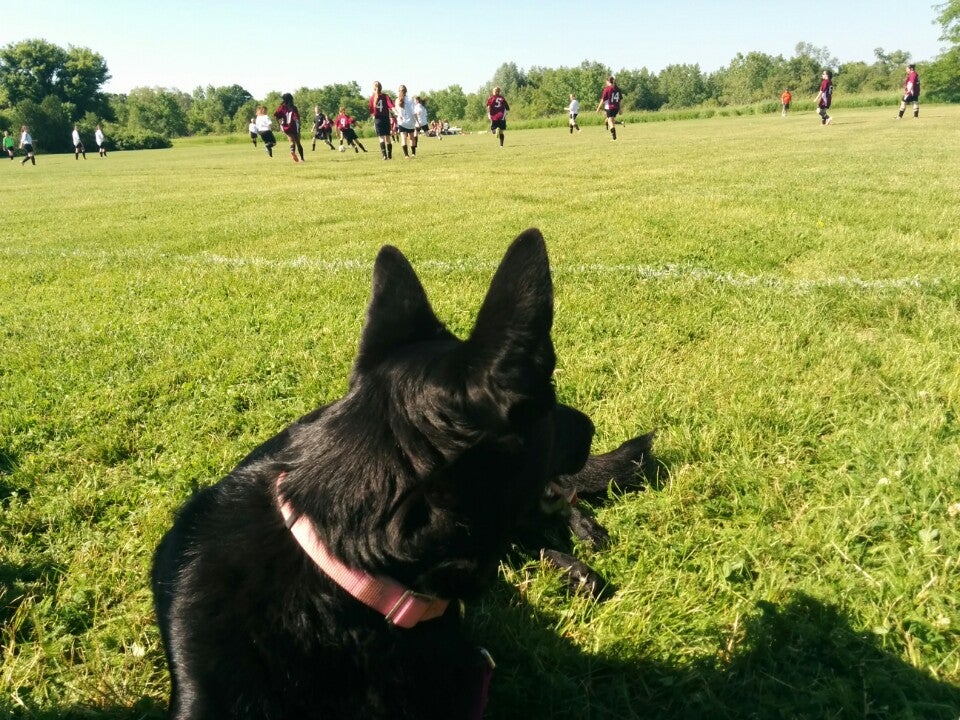 John Wright Soccer Fields, 123 Soccer Pl, Brantford, ON MapQuest