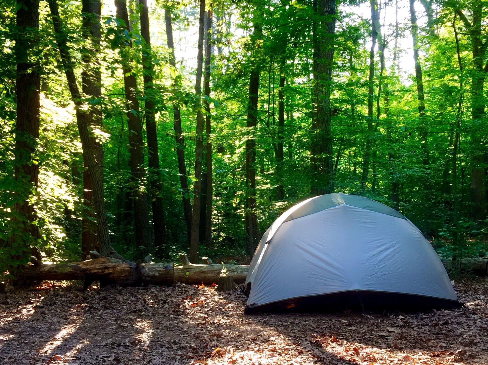 Oak Ridge Campground | Prince William Forest Park, Manassas, VA - MapQuest