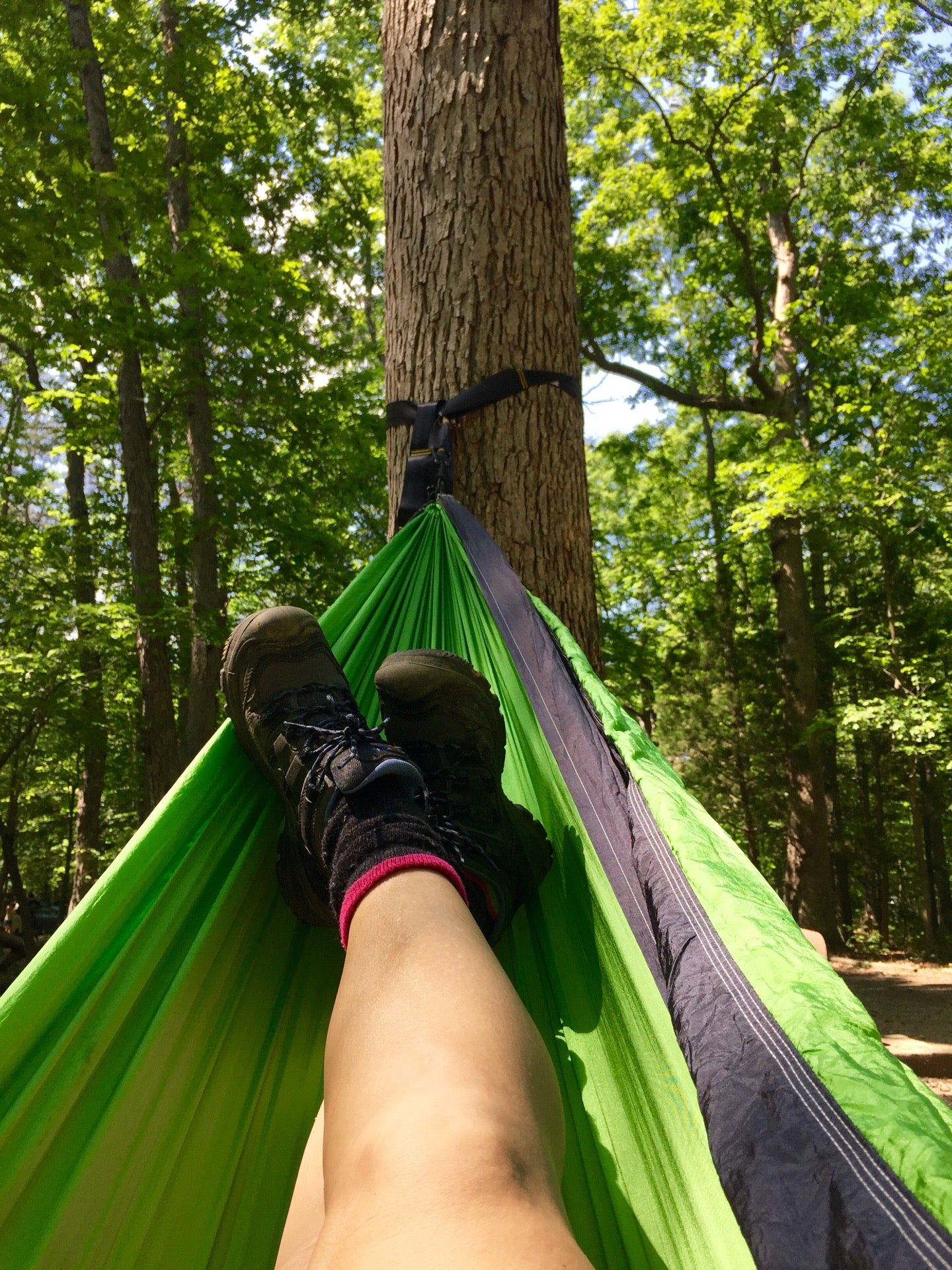 Oak Ridge Campground | Prince William Forest Park, Manassas, VA - MapQuest