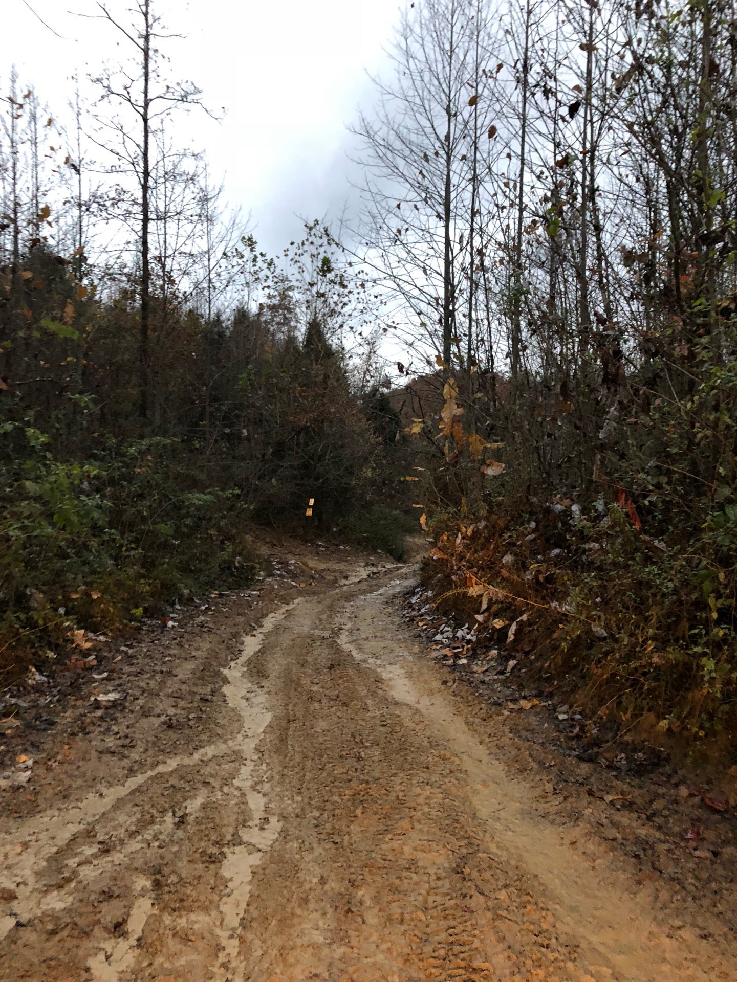 Annville, KY Map & Directions MapQuest