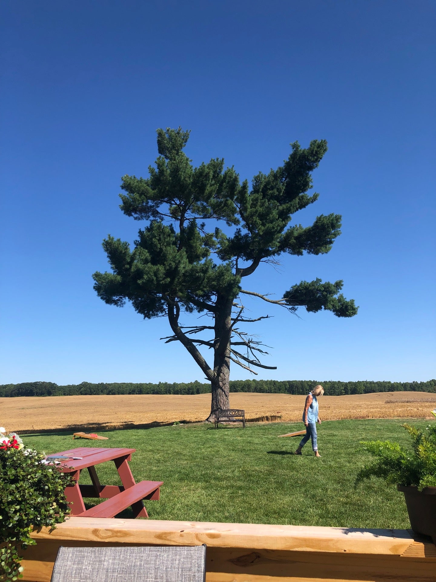 Sarona, WI Map & Directions MapQuest