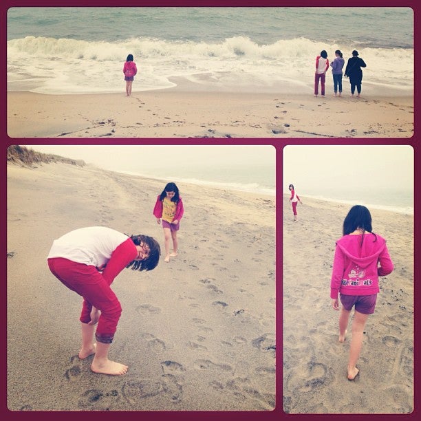 Quansoo Beach, Quansoo Rd, Chilmark, Town of, MA MapQuest