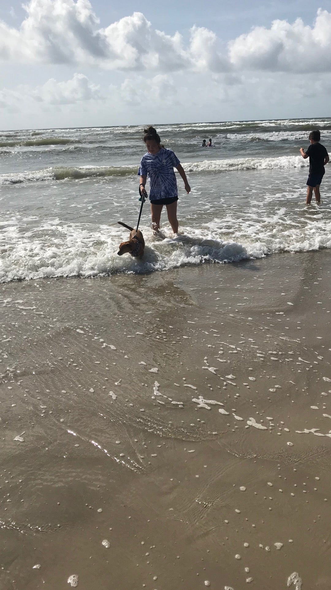 Michael J. Ellis Beach & Seawall, 15250 Windward Dr, Corpus Christi, TX