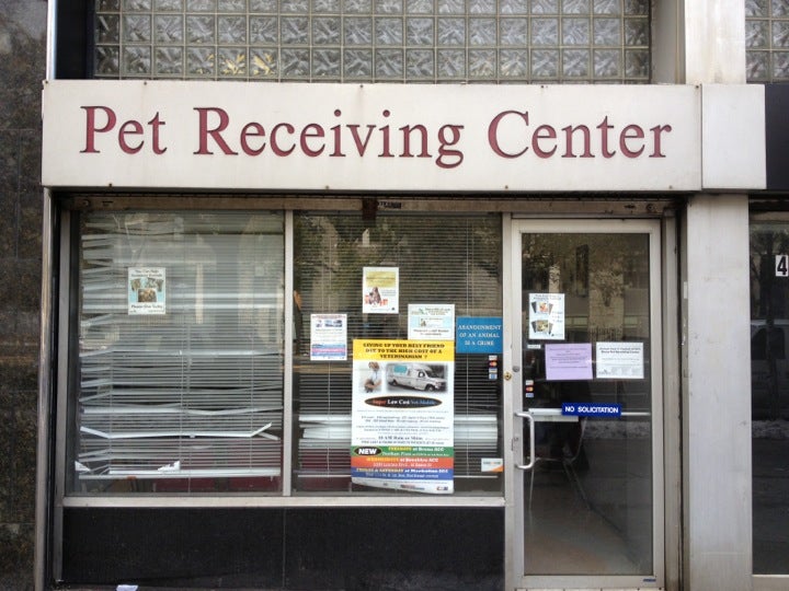 Animal Care Centers of NYC, 464 E Fordham Rd, Bronx, NY, Animal