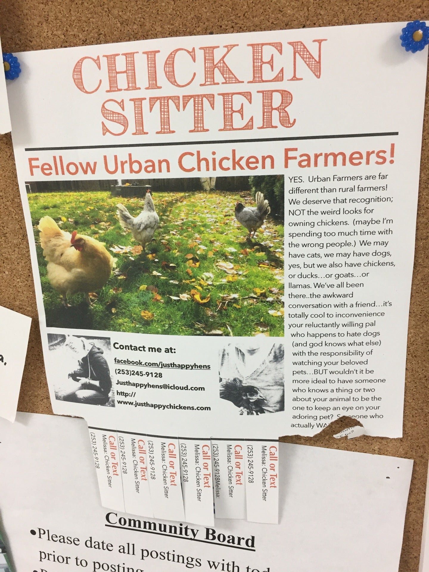 Wilco Farm Store Puyallup, 10409 Canyon Rd E, Puyallup, WA, Pet Shops