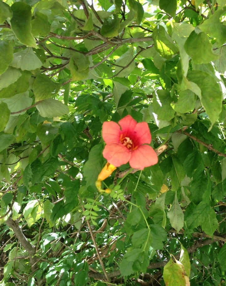 Codorus State Park Swimming Pool, 2600 Smith Station Rd, Hanover, PA, Swimming Pools Public