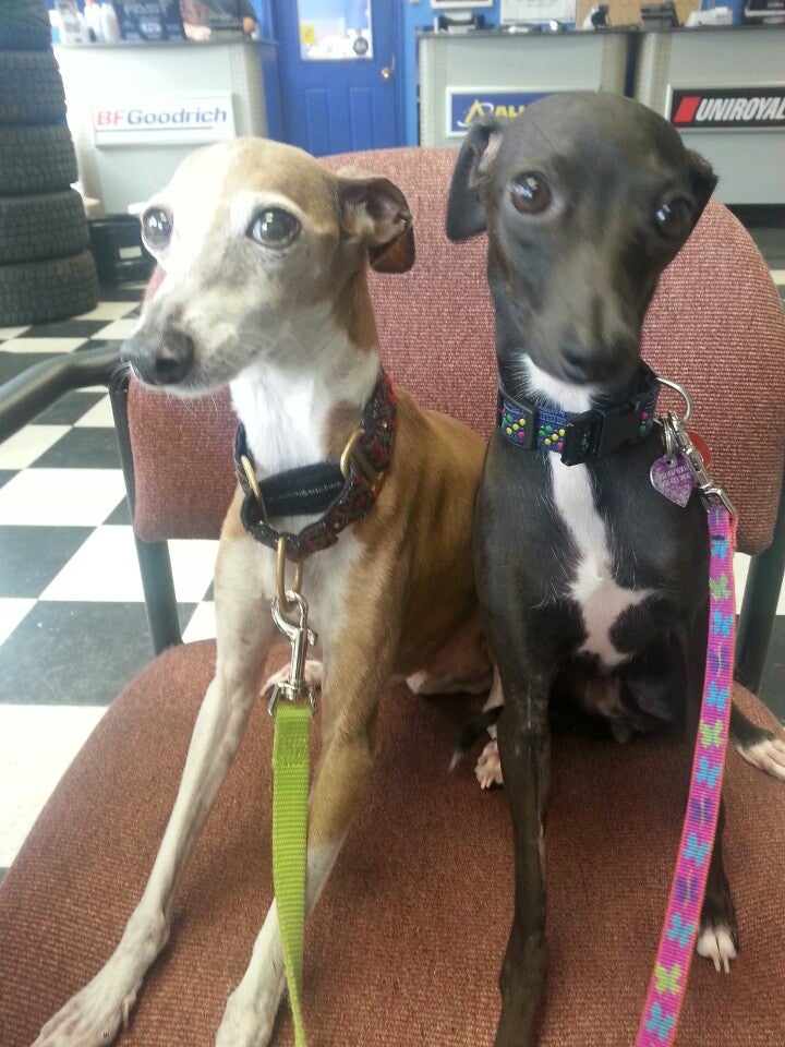 Scotia Tire Service Ltd, 267 Bedford Hwy, Halifax, NS MapQuest