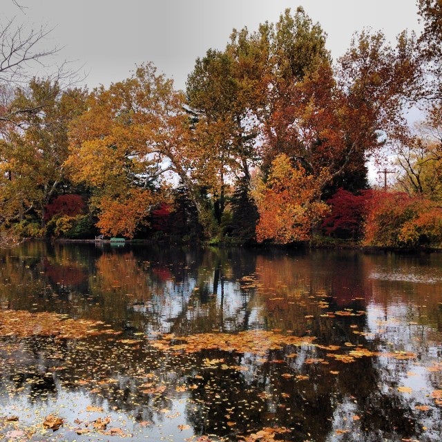 Lake Afton, W Afton Avenue, Yardley, PA, Lake MapQuest