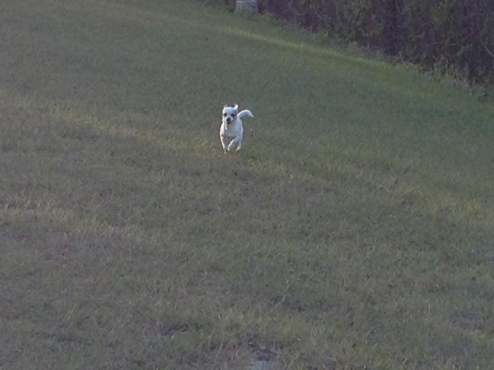 Lutz, FL Map & Directions MapQuest