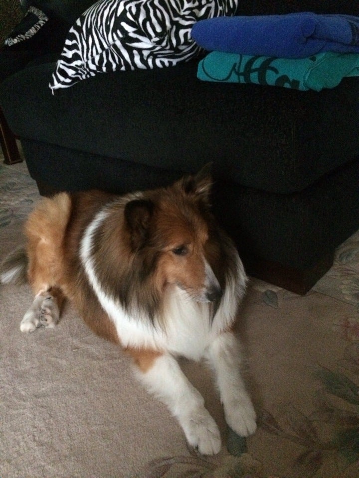 Best Concrete Contractors in Kimball Township, Michigan MapQuest