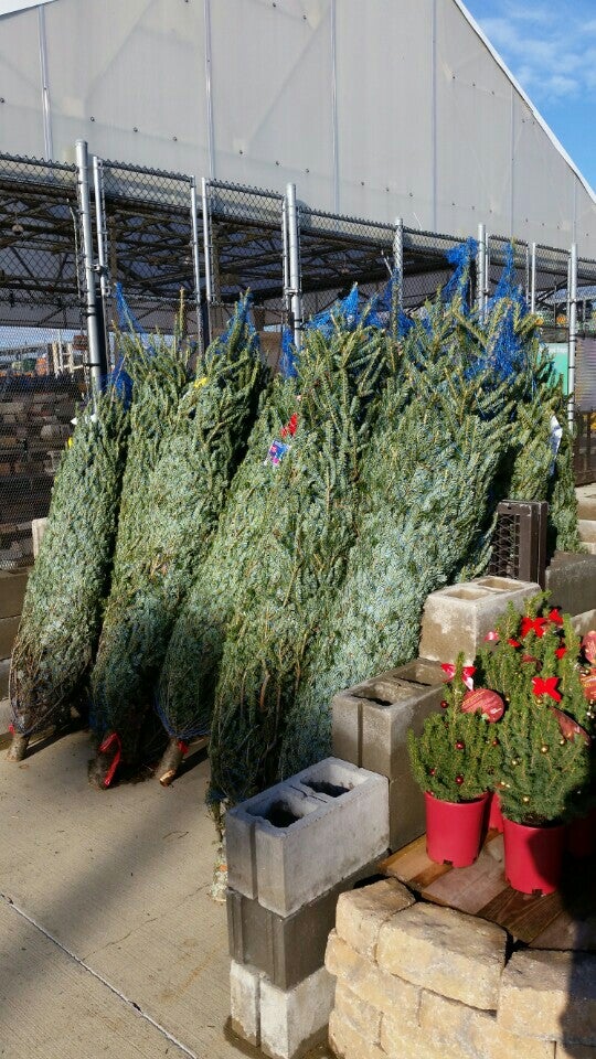 Lowe's Home Improvement, 90 Price Pkwy, Farmingdale, NY, Construction