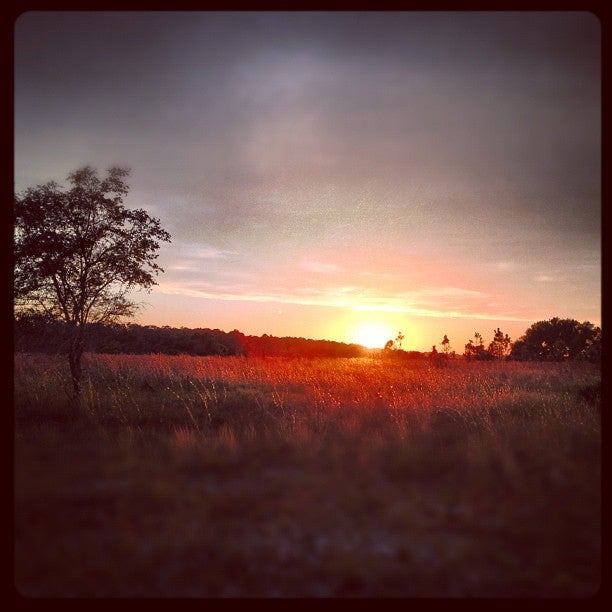 River Ranch FL Map amp Directions - 248002 V8YpgV9eHH9Y1Jkz15jmuJkbU94zz8DTE SOASJn3Sc 